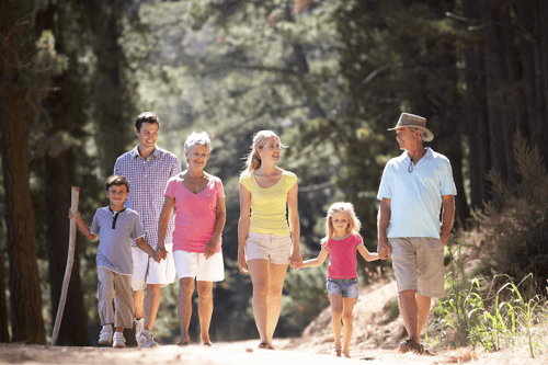 family taking a walk in a forest