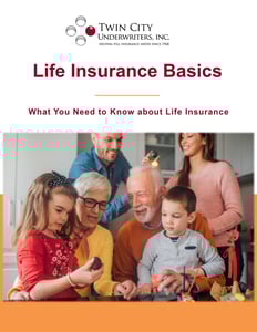 Life Insurance ebook