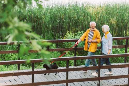Medicare aged senior couple walking dog over bridge in Minnesota Park